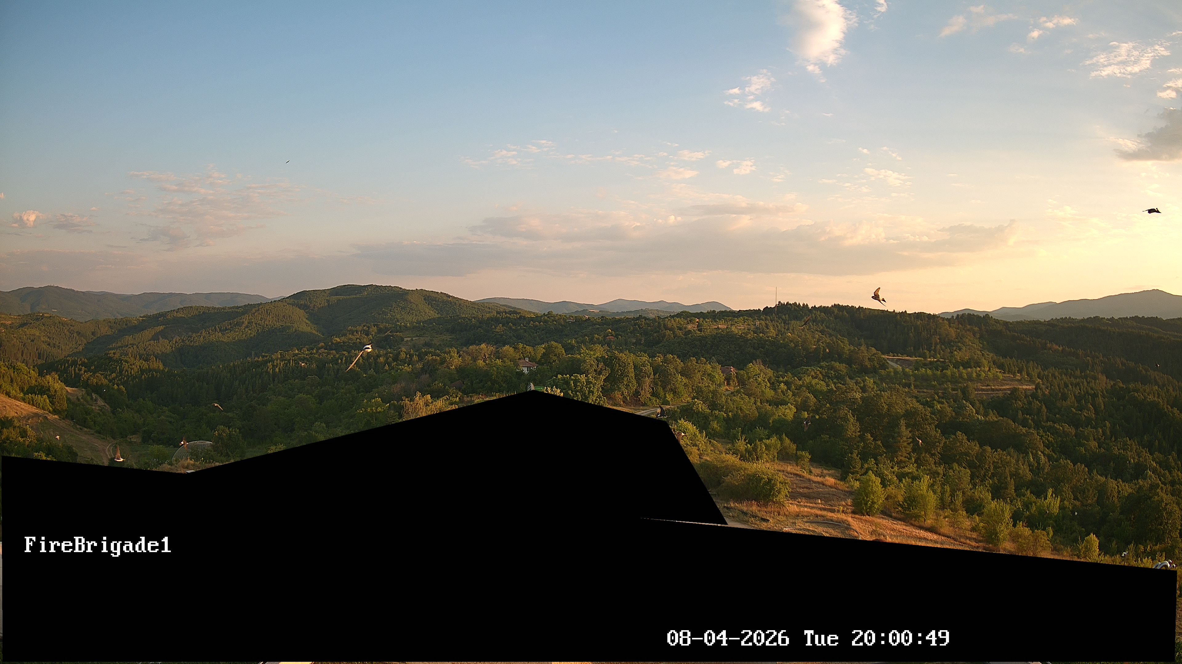 cam3